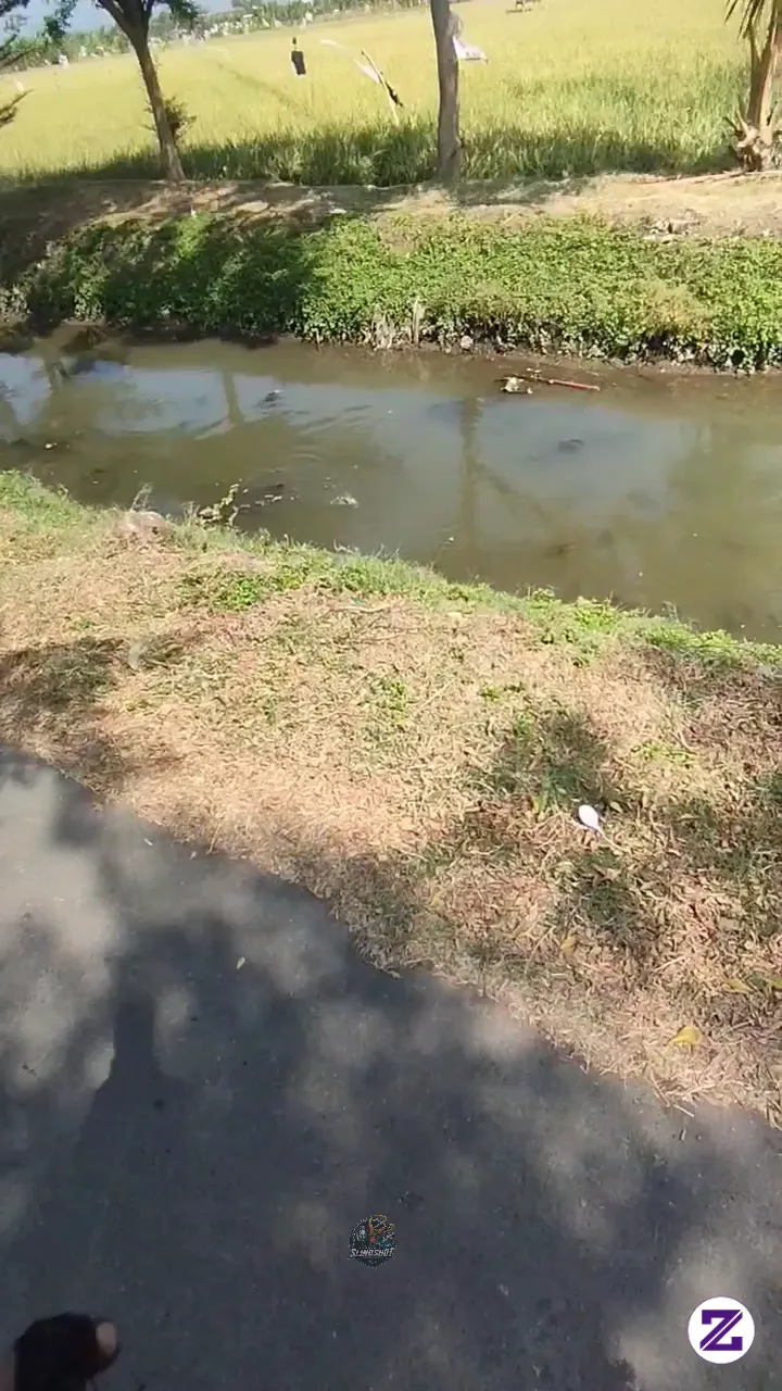 Berburu Ikan Dengan Ketapel Ikan Modern 🎯🐟