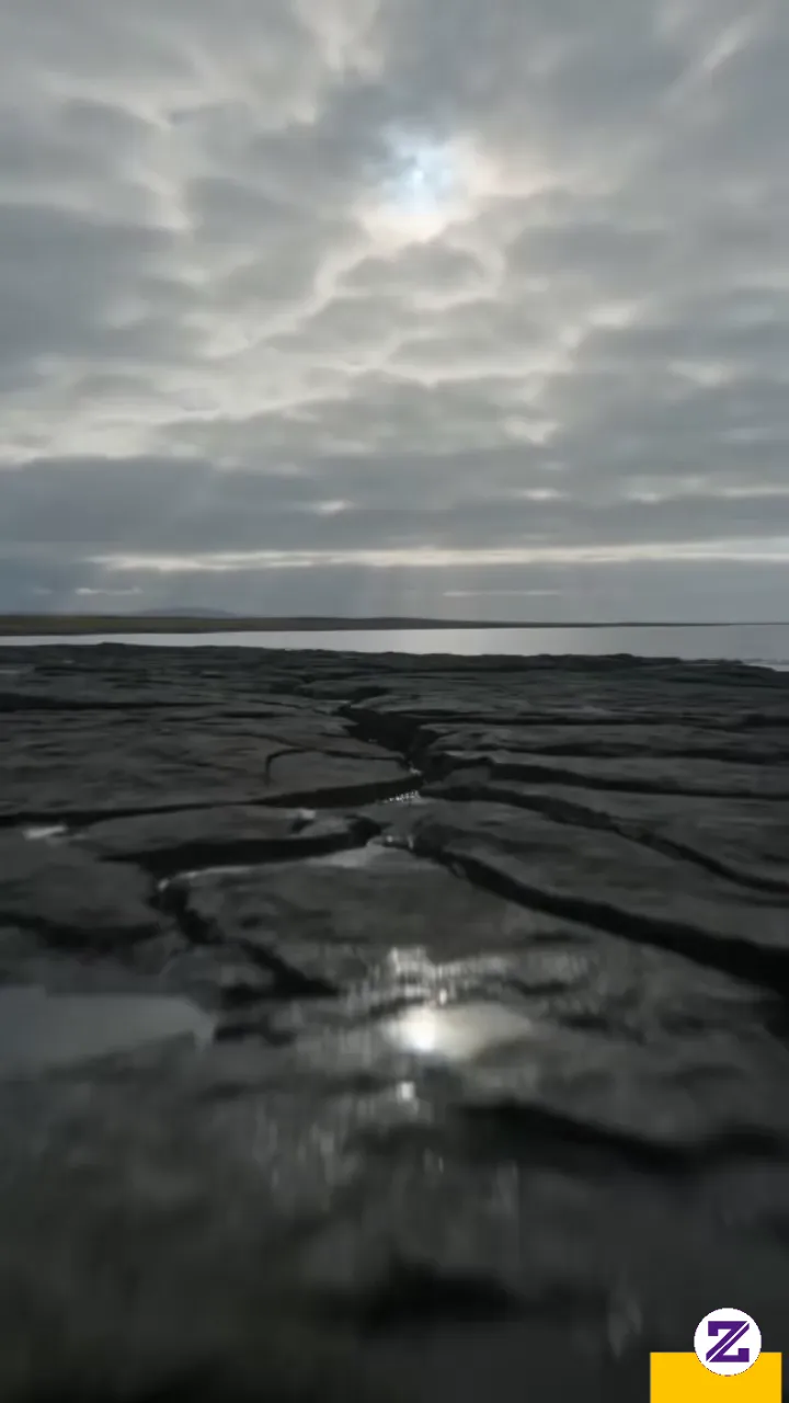 Sea Sea Sea