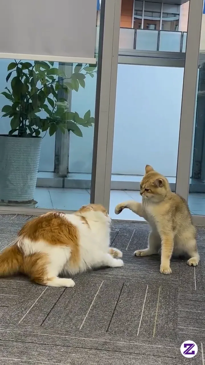 When The Intern Tries To Fight The CEO