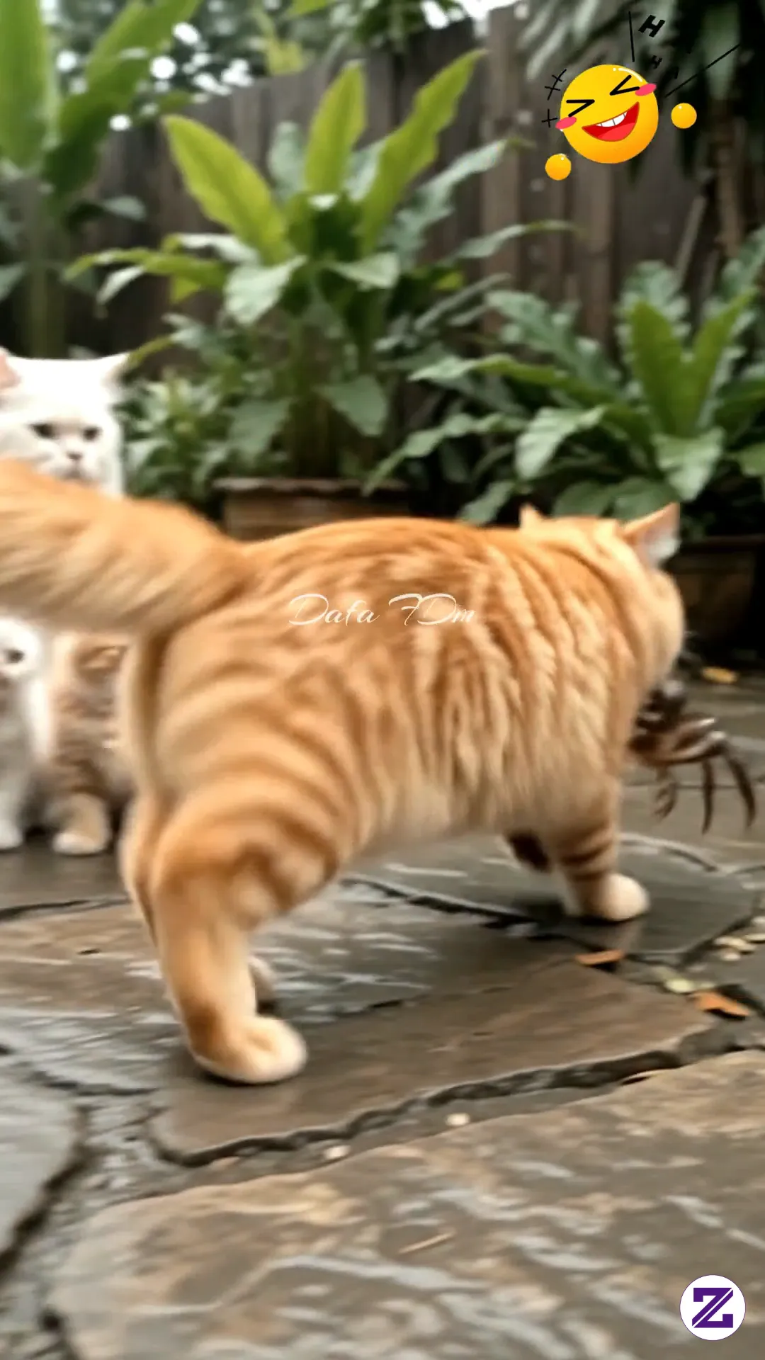 Kucing Oren Sok Jago Lawan Kepiting, Endingnya Bikin Ngakak! 😂🦀