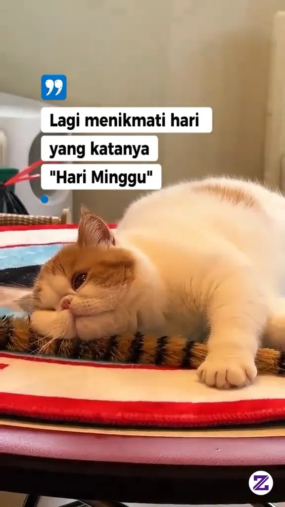 Kaum Pengangguran B🫢🫢🫢🥰🥰🥰 Bagi Kami Semua Hari Sama Aja😁🫢🫢🫢💃💃💃