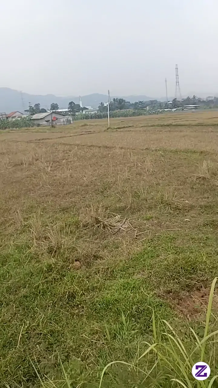 Selamat Sore Besok Senin Aja Lagi, Siap2 Rutinitas Kembali Besok Senin Sampai