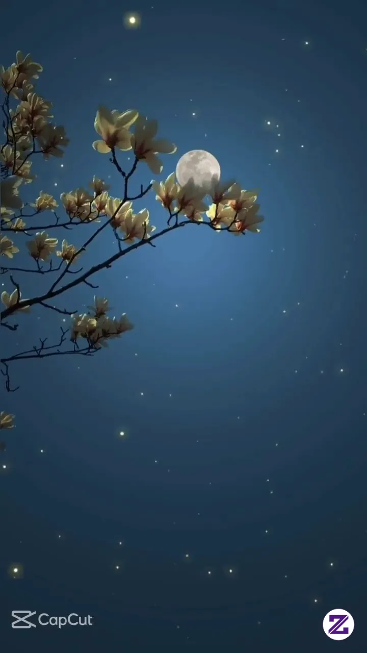 NIGHT VIEW "Suasana Malam"#video#pemandangan#viral#trending