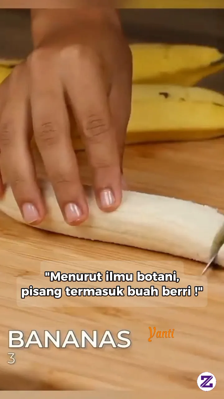 Ternyata Pisang Termasuk Buah Beri, Lho! 🍌😲 Baru Tahu, Atau Sudah Tahu Fakta