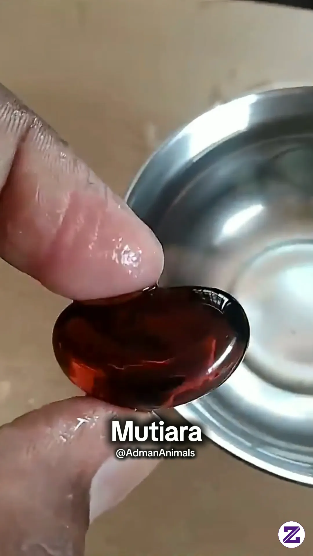 Rahasia Bantu Mutiara Di Kepala Ular 😱