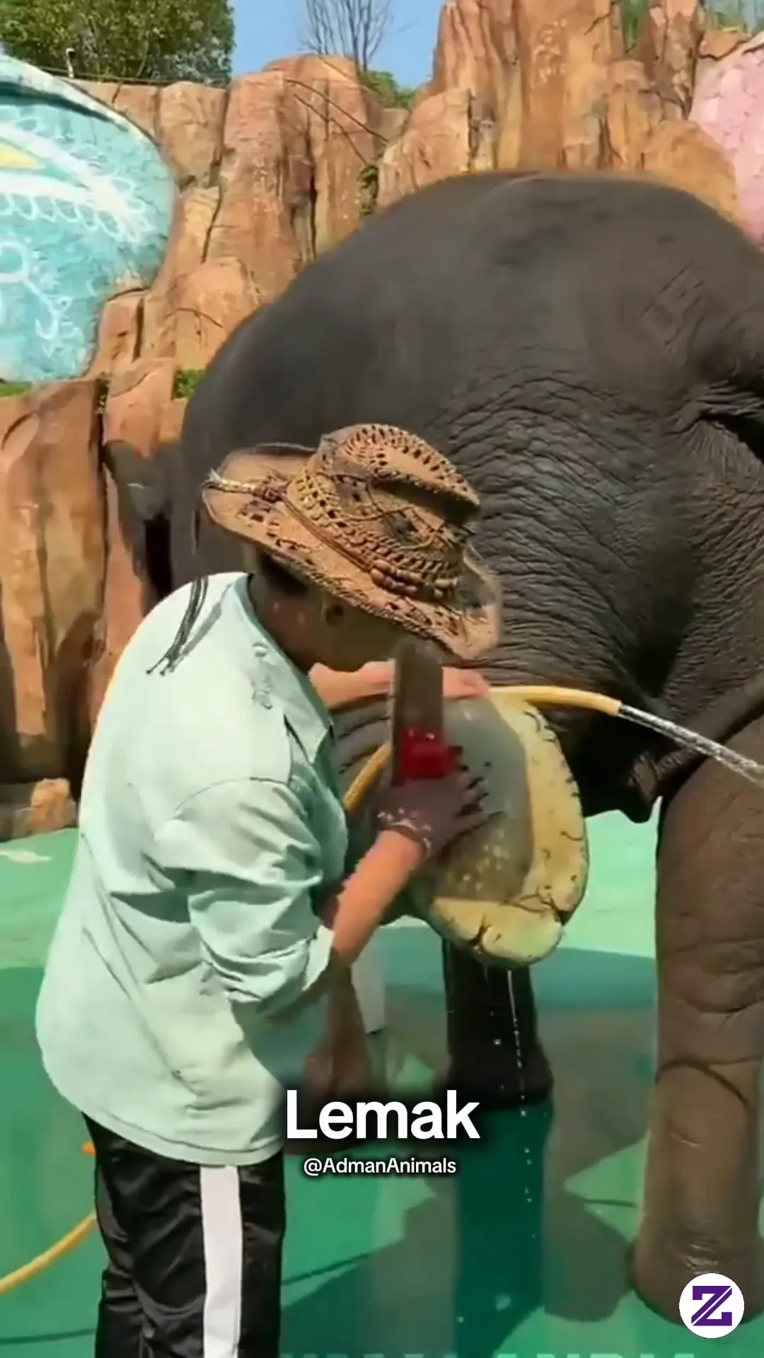 Rahasia Kaki Gajah 5 Ton 🐘