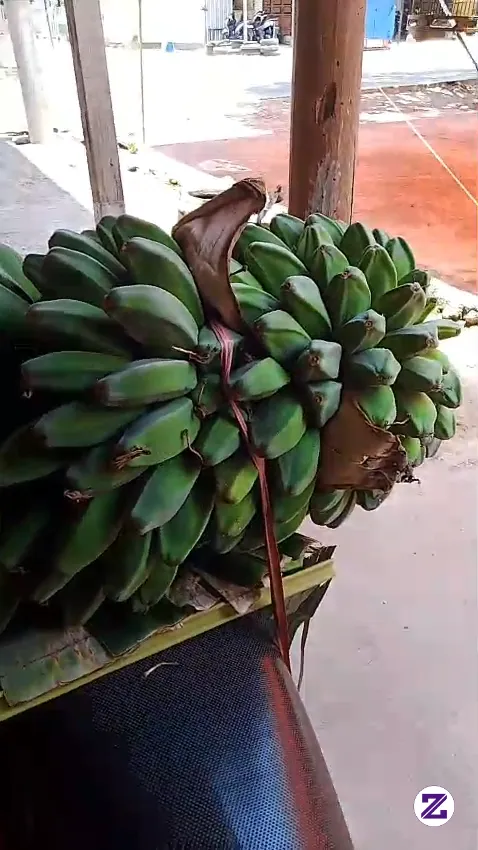 Enaknya A Diapain Yah
