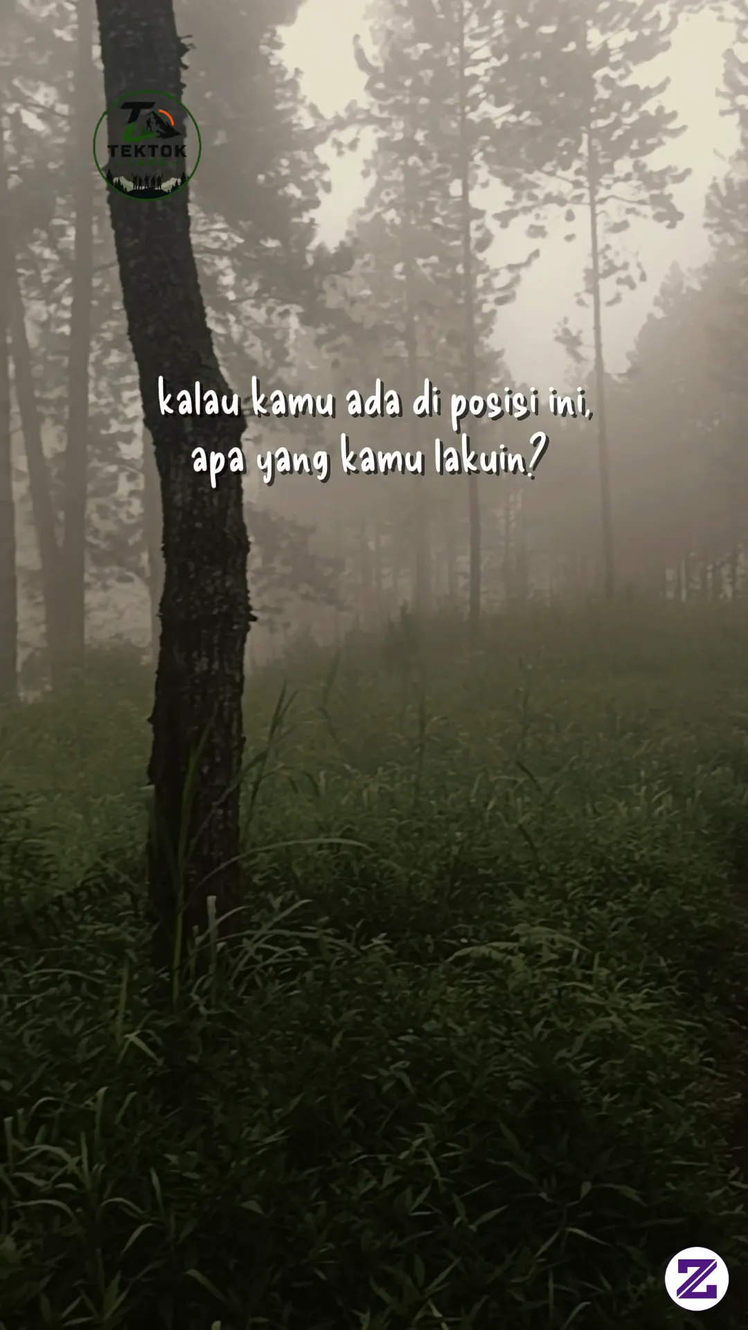 BAYANGIN KAMU LAGI JALAN DI HUTAN INI. KABUT MAKIN TEBAL, JALANAN MASIH PANJANG,