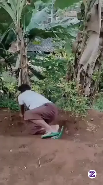 Bola Yang Bikin Orang Kesal