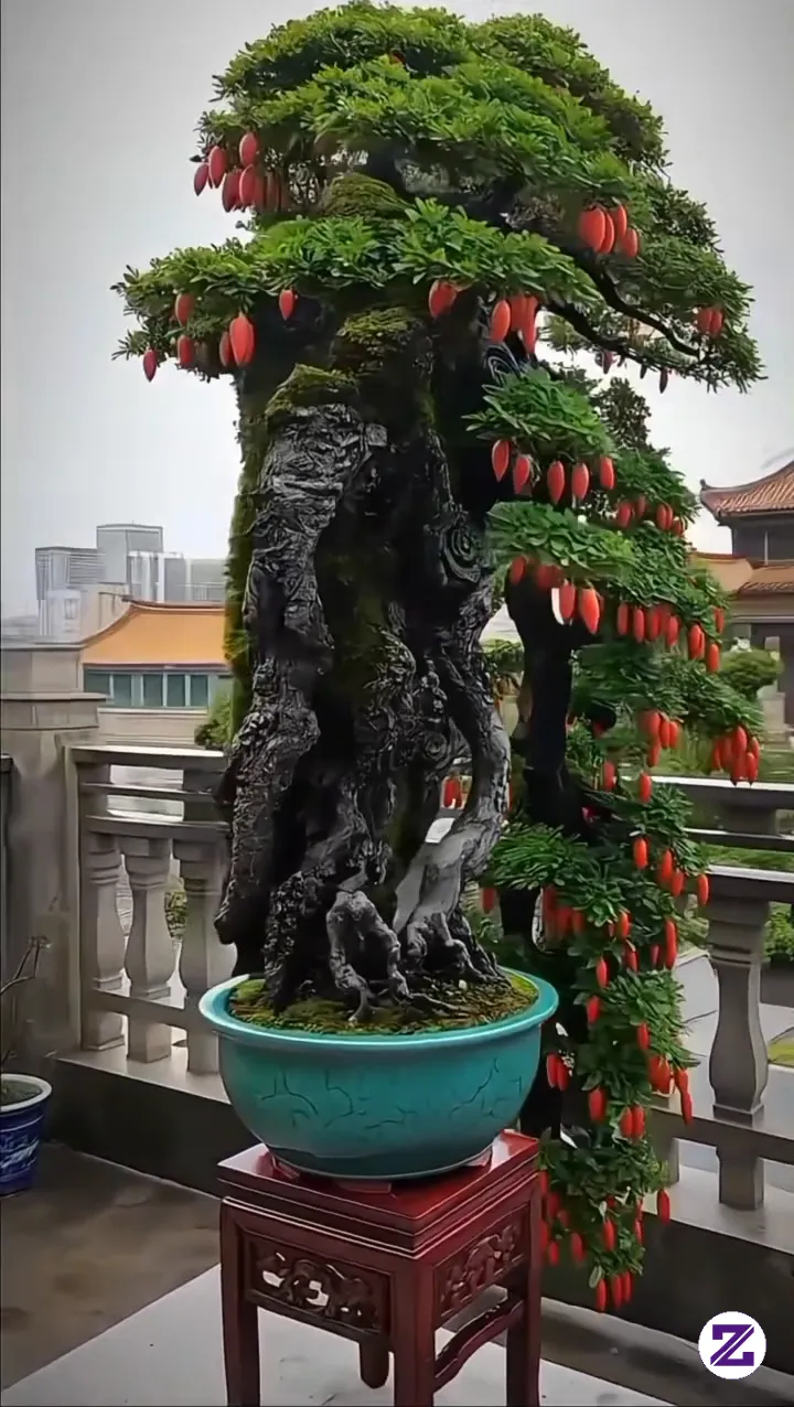 Keindahan Bonsai Mini Yang Memukau 🌳✨