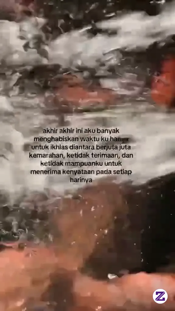 Halo Gyssss
