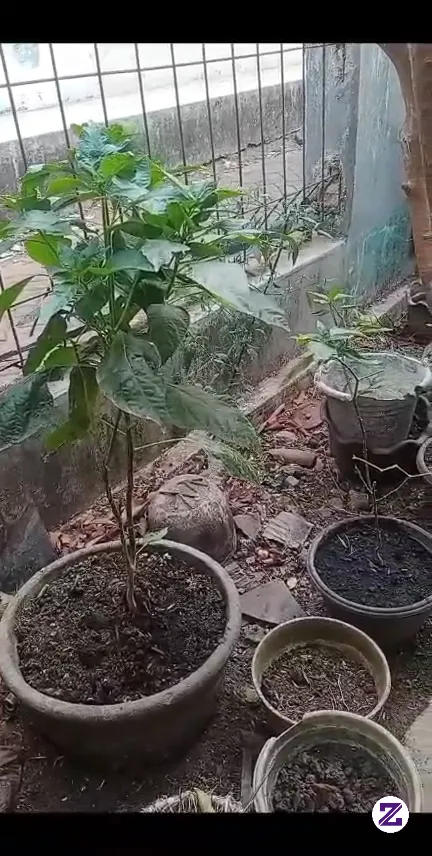 Renungan Kehidupan