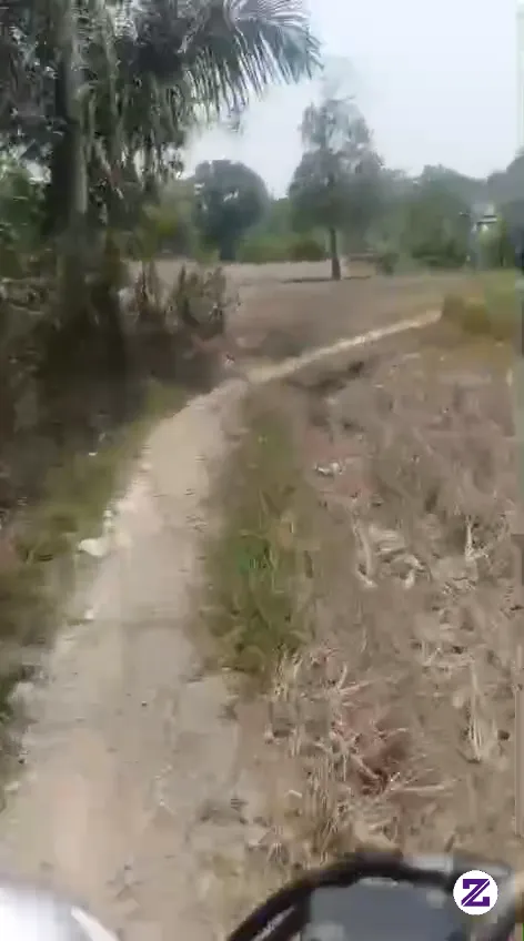 This Is The Condition Of Roads In Underdeveloped Rural Areas.