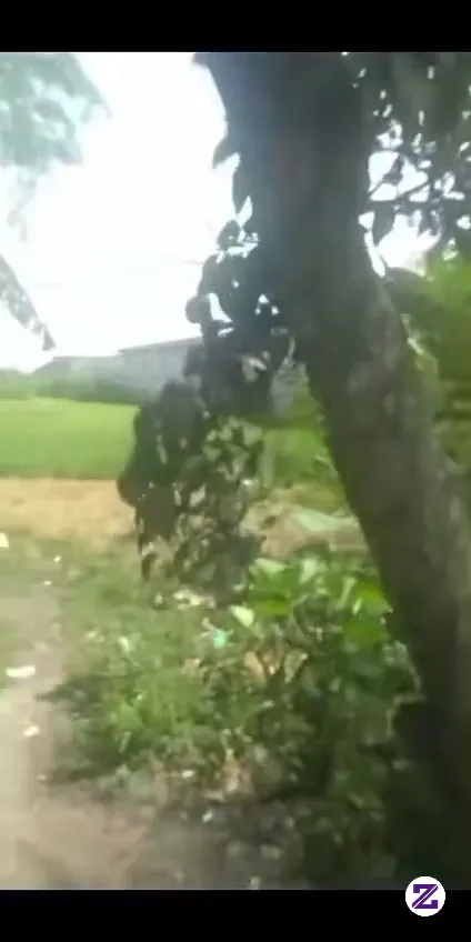 Tanah Ini Mau Dijual