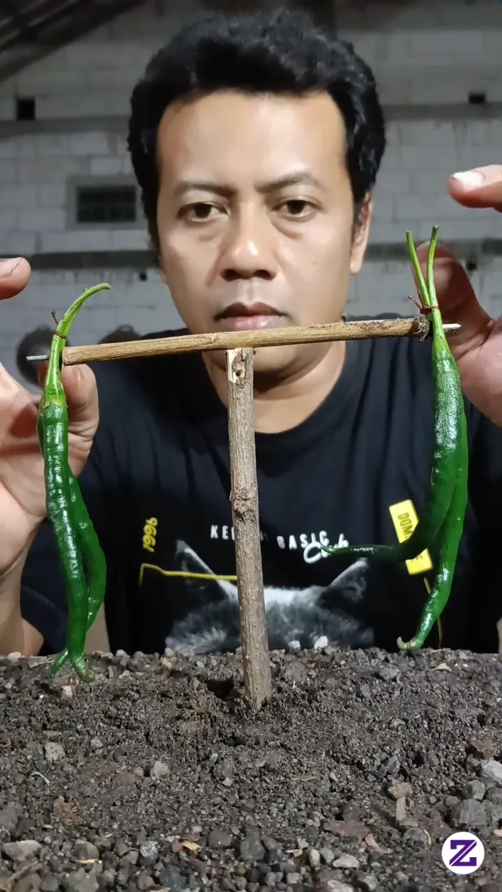 “A Harvest This Big Deserves To Be Shared! 🌶️💚 What Would You Cook First With