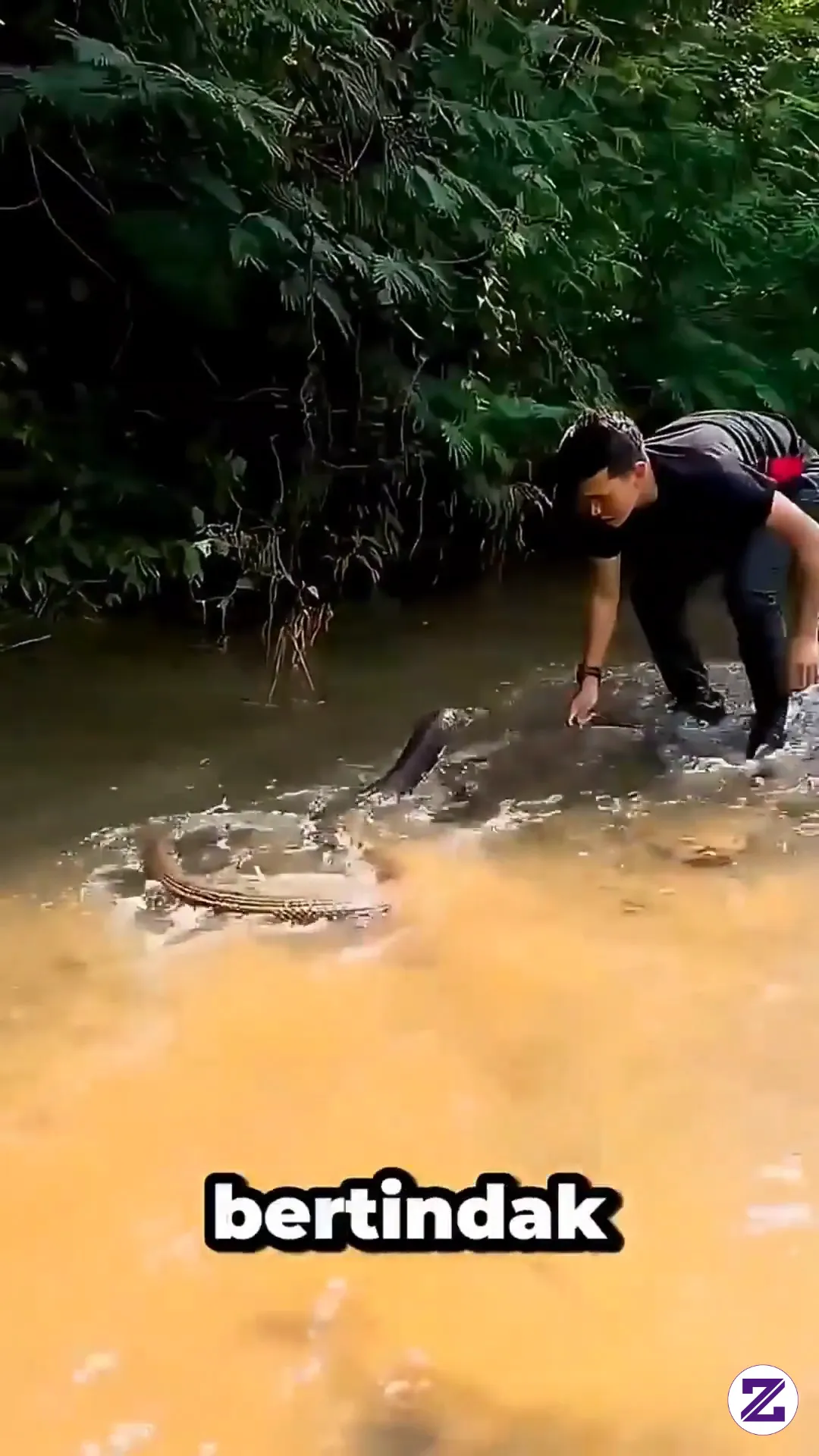 Pria Ini Sangat Berani Menghadapi Ular Ini