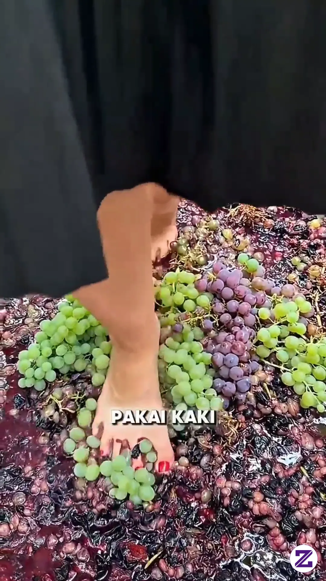 Cara Pembuatan Wine