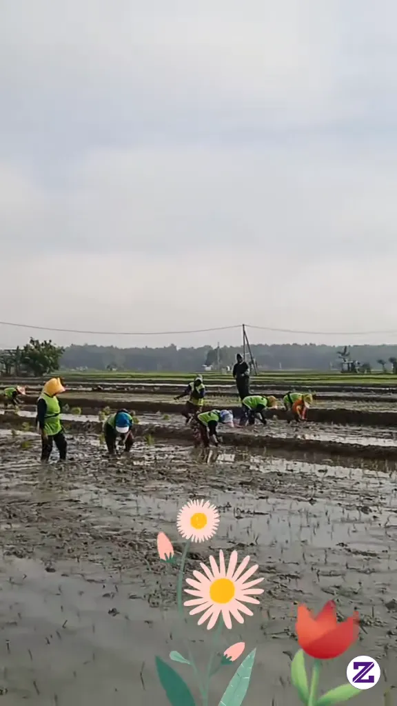 Semangat Isuk Bolo,semangat Nuli Tandur