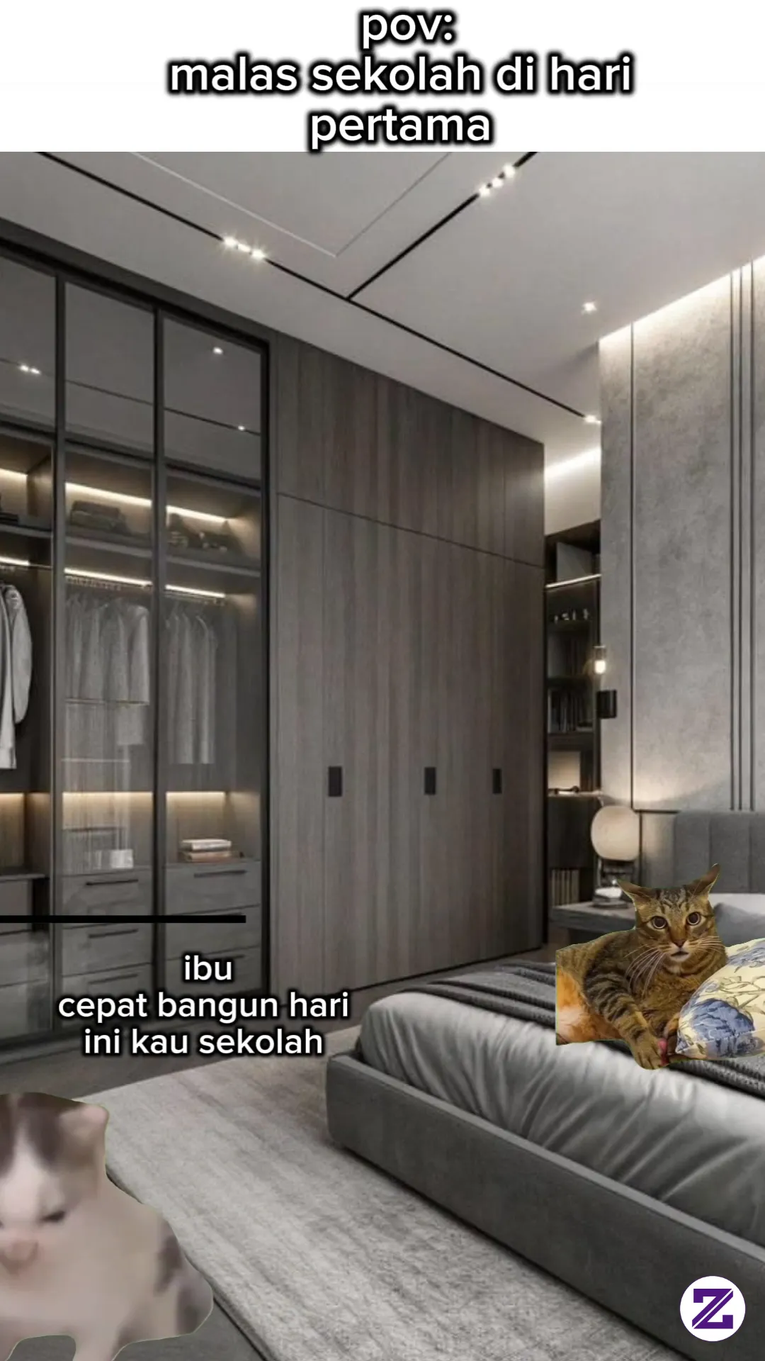 Video Meme Kucing