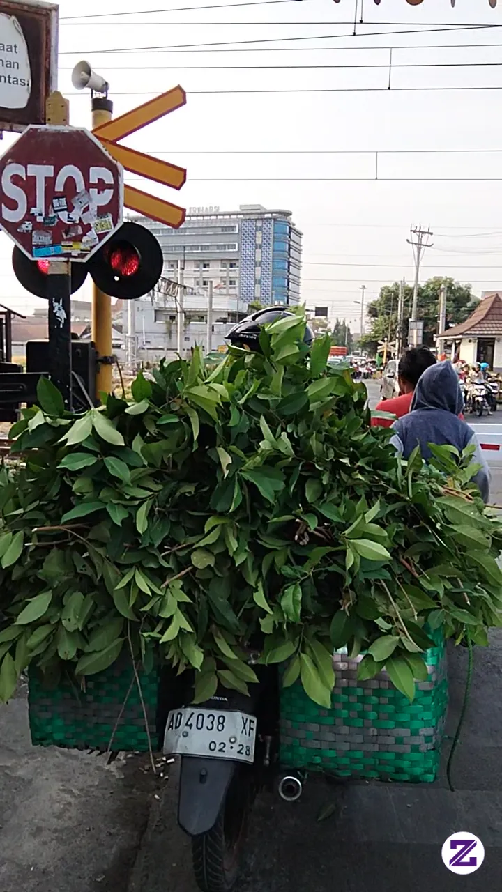 Lihat Kereta Api Lewat Dulu Ya. Hati-hati Dijalan Semuanya