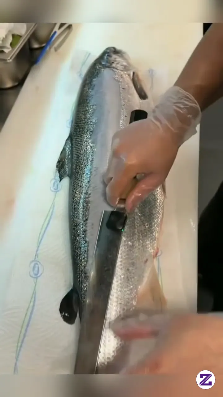 Fillet Salmon Yang Bersih Dipotong Menjadi Beberapa Bagian