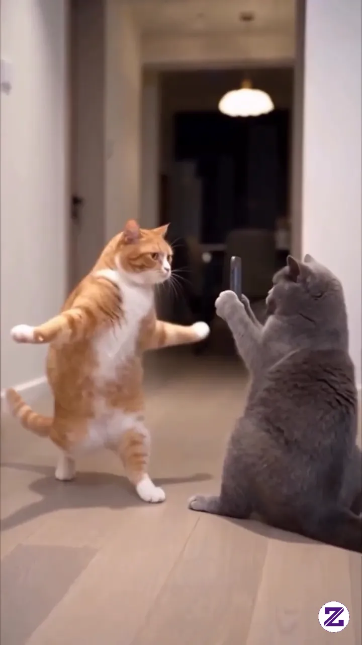 Senam Pagi Dulu