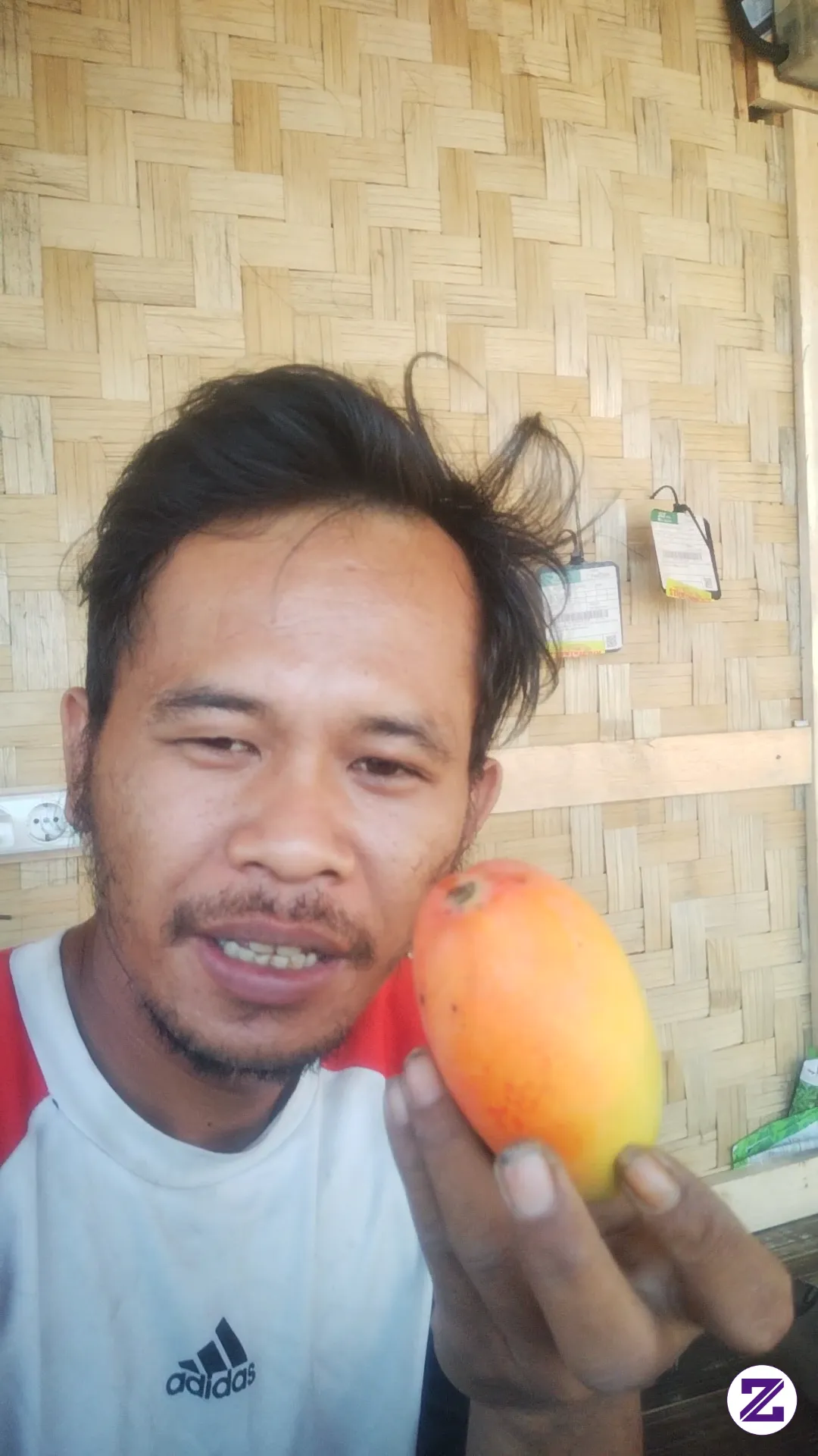 Ada Yg Tau Buah Ini