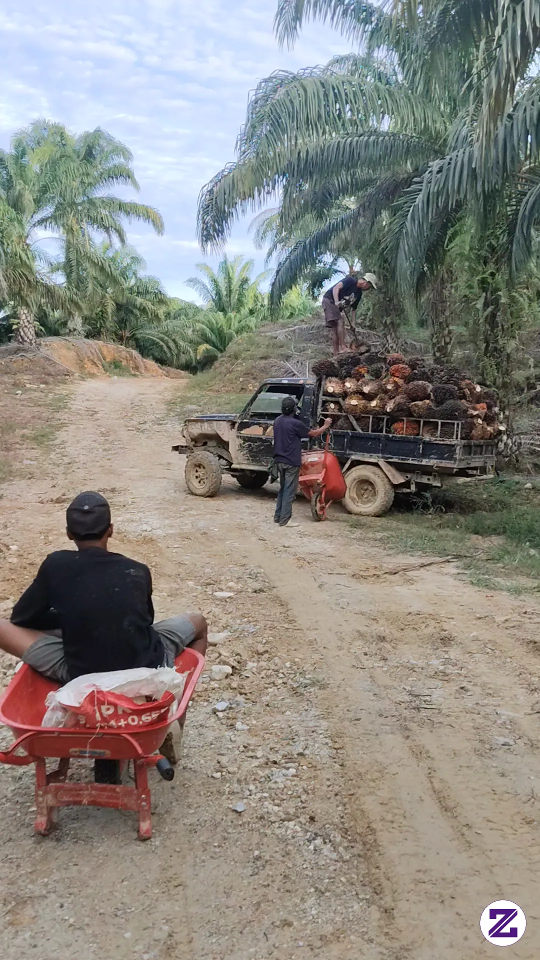 Muat Buah Sawit