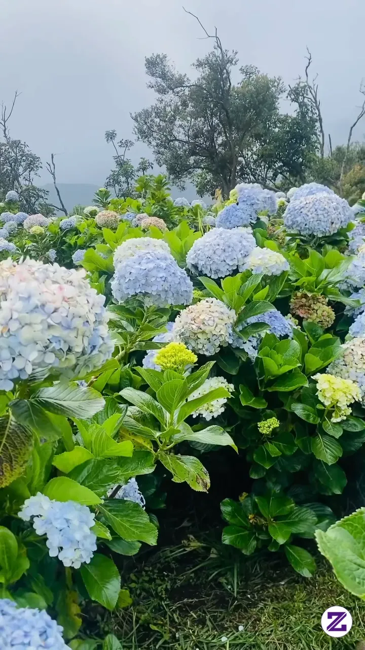 Coba Tebak Dimana