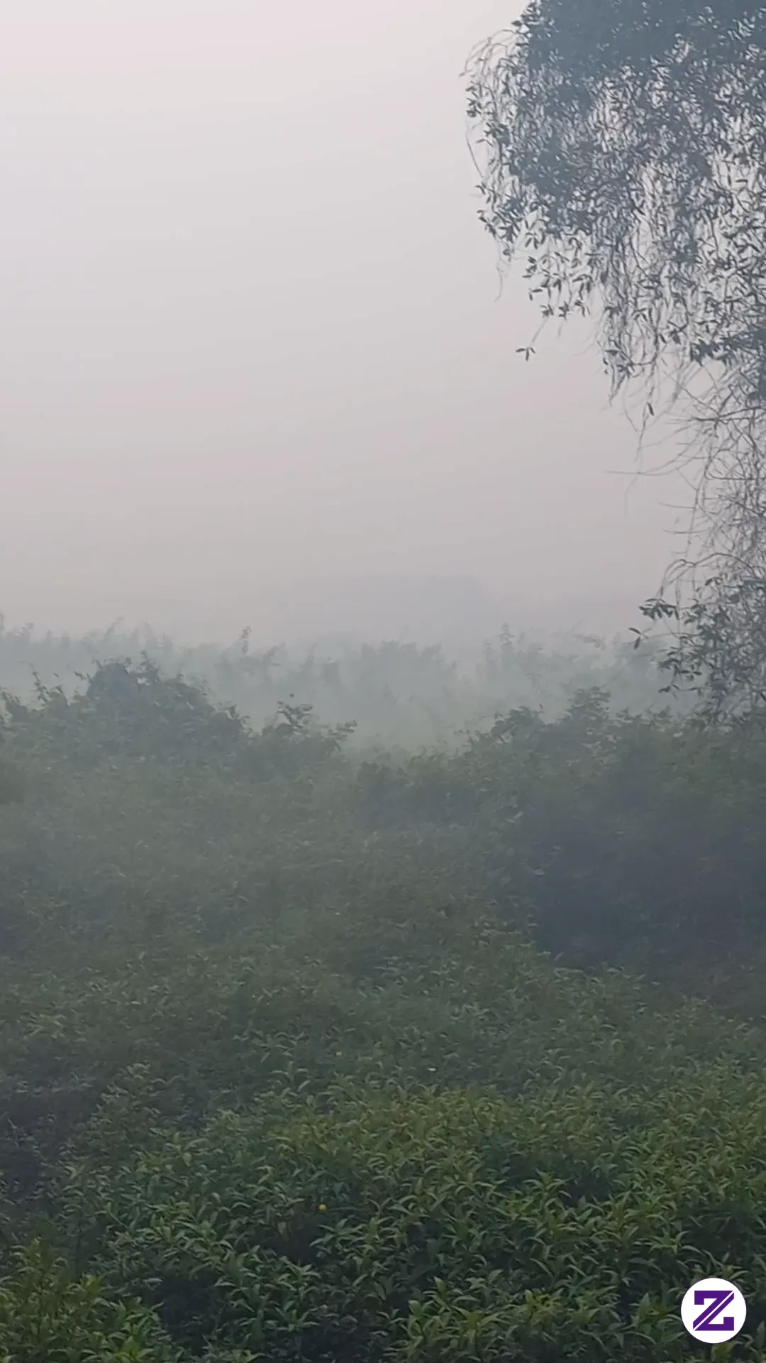 Kondisi Di Kalimantan Saat Ini