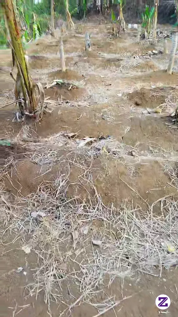 Berkebun Dulu Guys