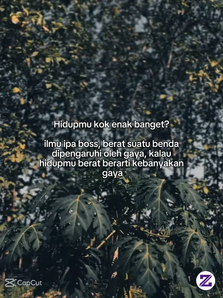 Jangan Terlalu Banyak Gaya ,biar Hidup Tenang