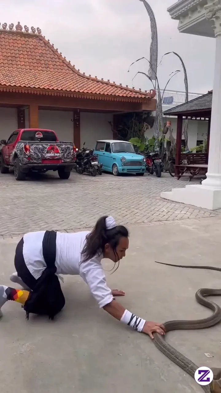 Don't Try This—it's Dangerous! A Martial Artist From Indonesia Attempts To