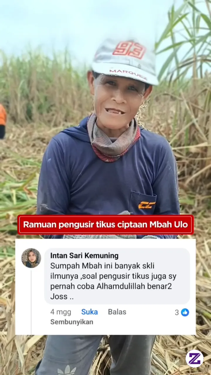 Banyak Tikus Di Rumah, Tenang, Solusinya