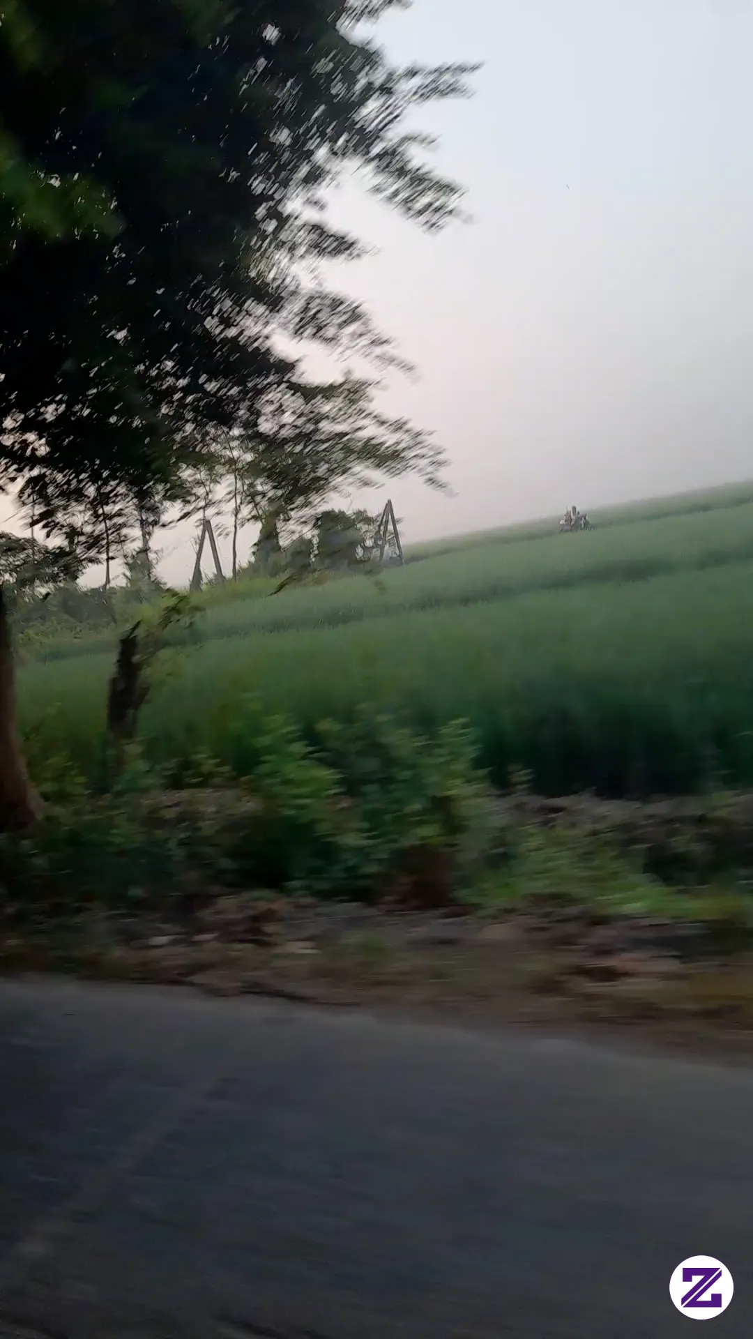 Suasana Tiap Pagi Kalo Berangkat Kerja Hehe😇