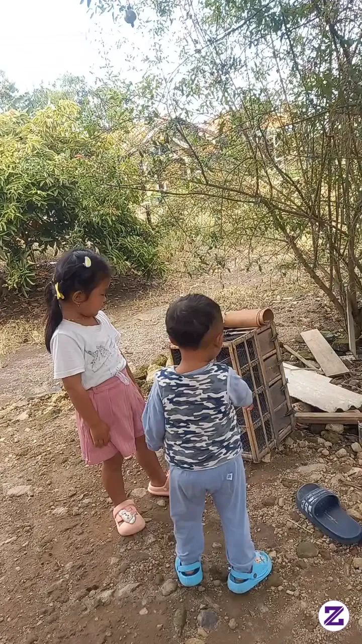 Sedang Bermain