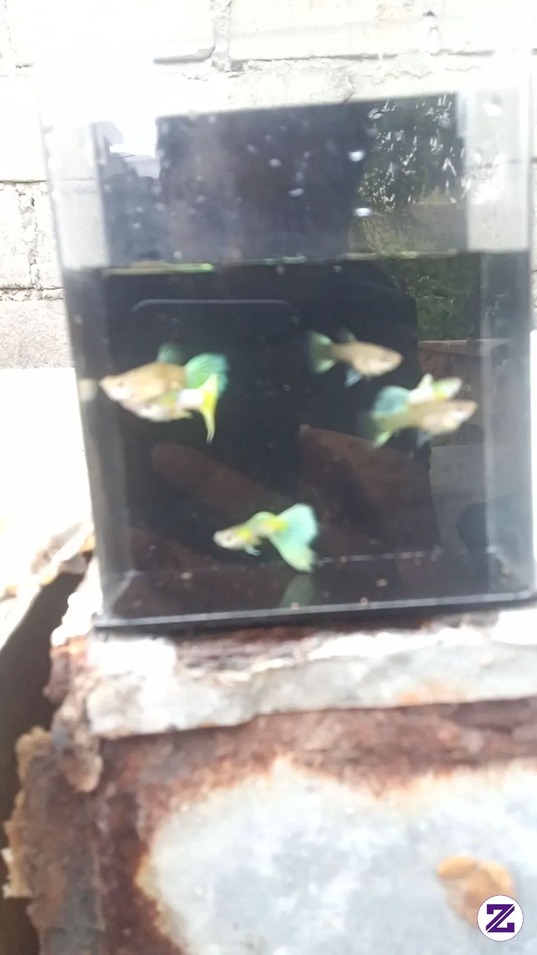 Kelihatan Menarik Juga.kalau Di Pandang Dari Sini