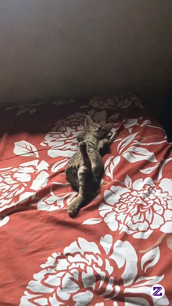 Lagi Santai Kawand🤣