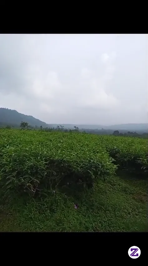 Pemandangan Yang Sangat Indah