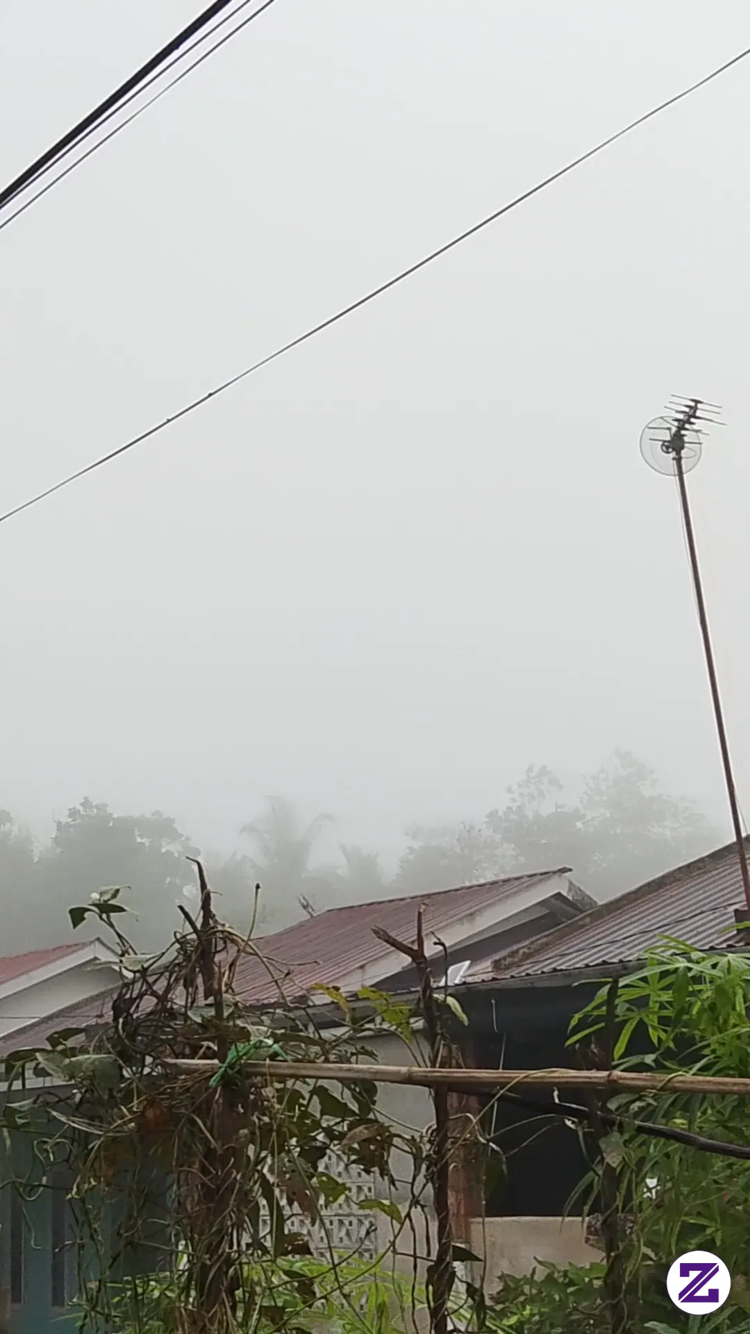 Hy Semua Nya Di Tempat Kalian Setiap Pagi Kabut +Asap Jugak Gais