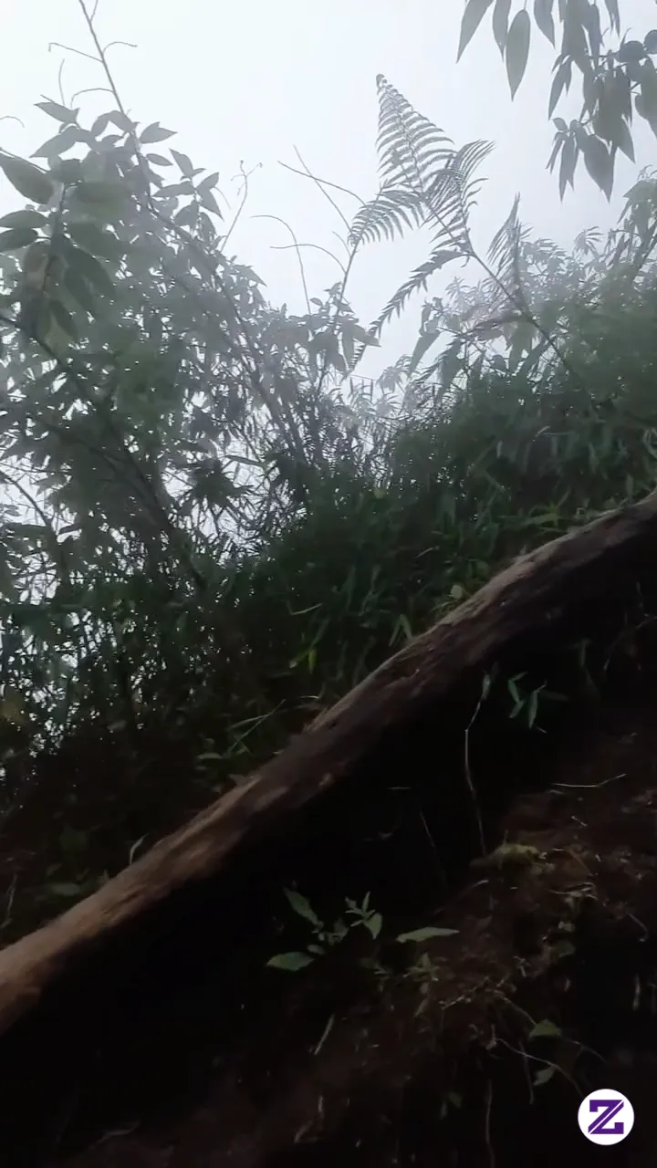 Yuuu Kesini Lagi Bagus Bngt Pemandangan Nya Indah Sekali
