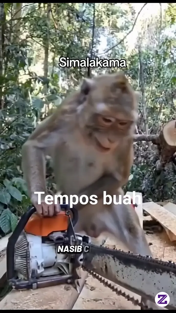 Monyet Kerja