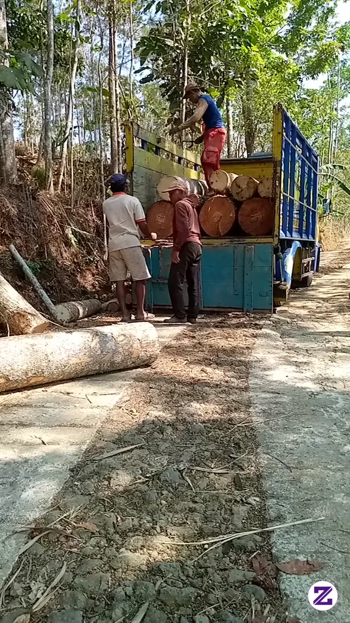 Proses Muat Kayu Bolo😁