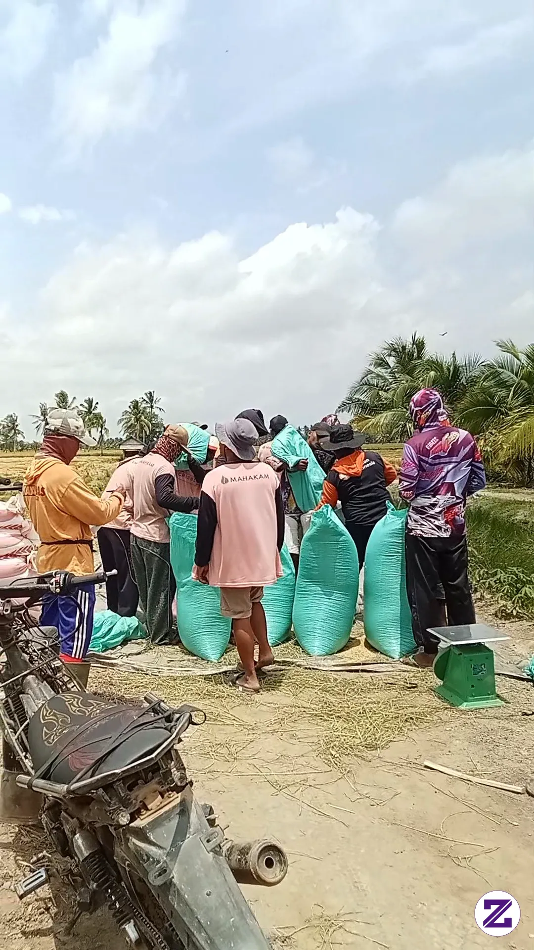 Beautiful Cooperation During Rice Harvest