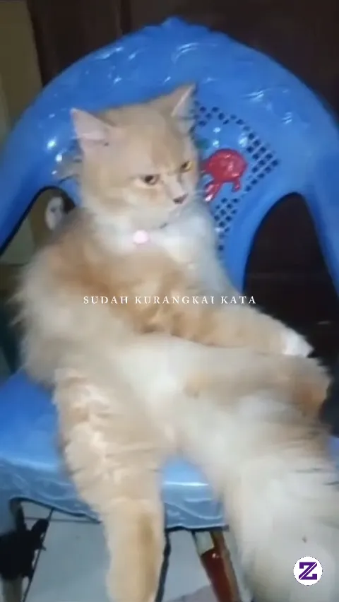 Tiba Tiba Kangen Mumu..