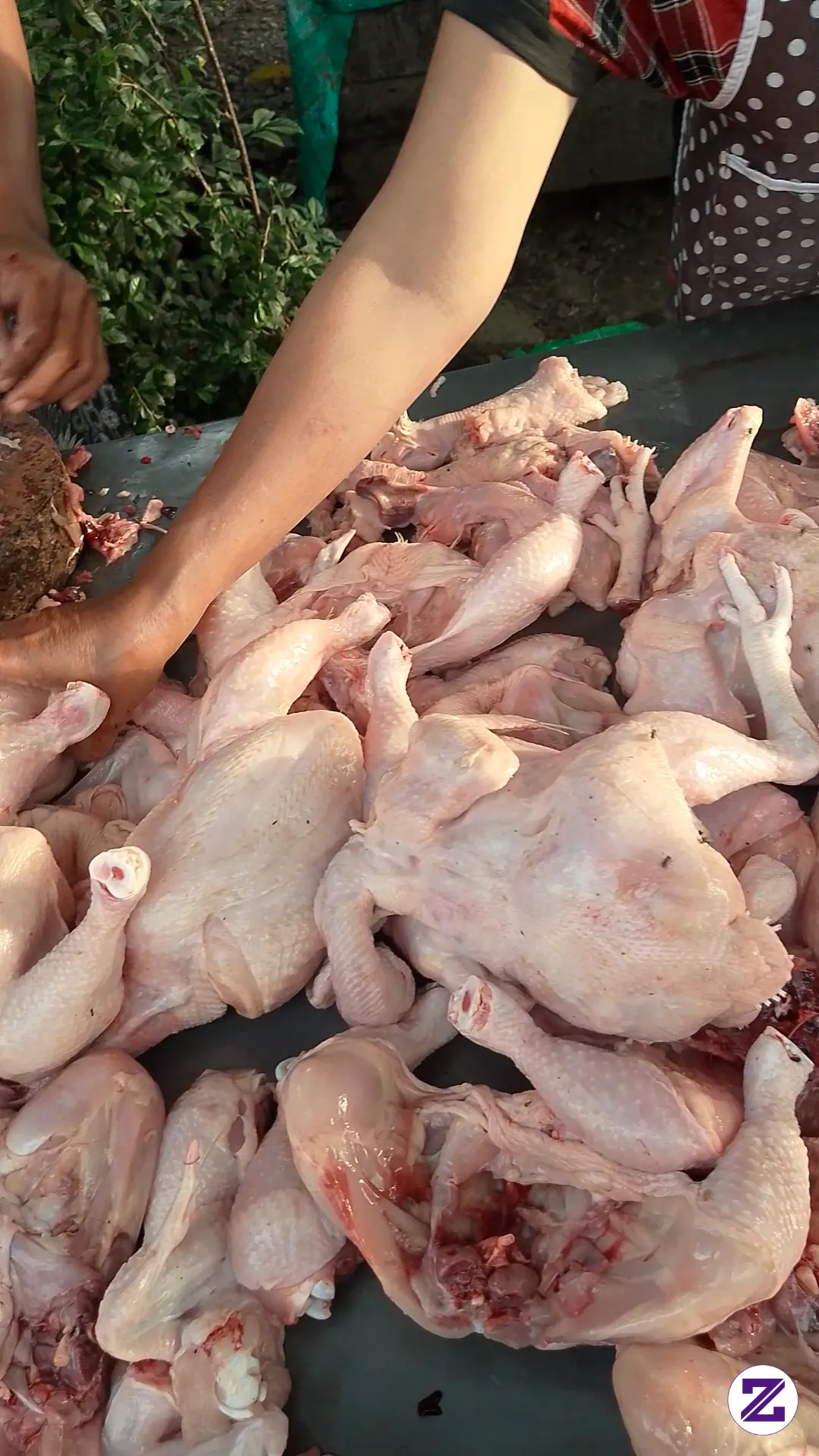 Harga Ayam Di Daerah Mu Berapa Ya Gaes...