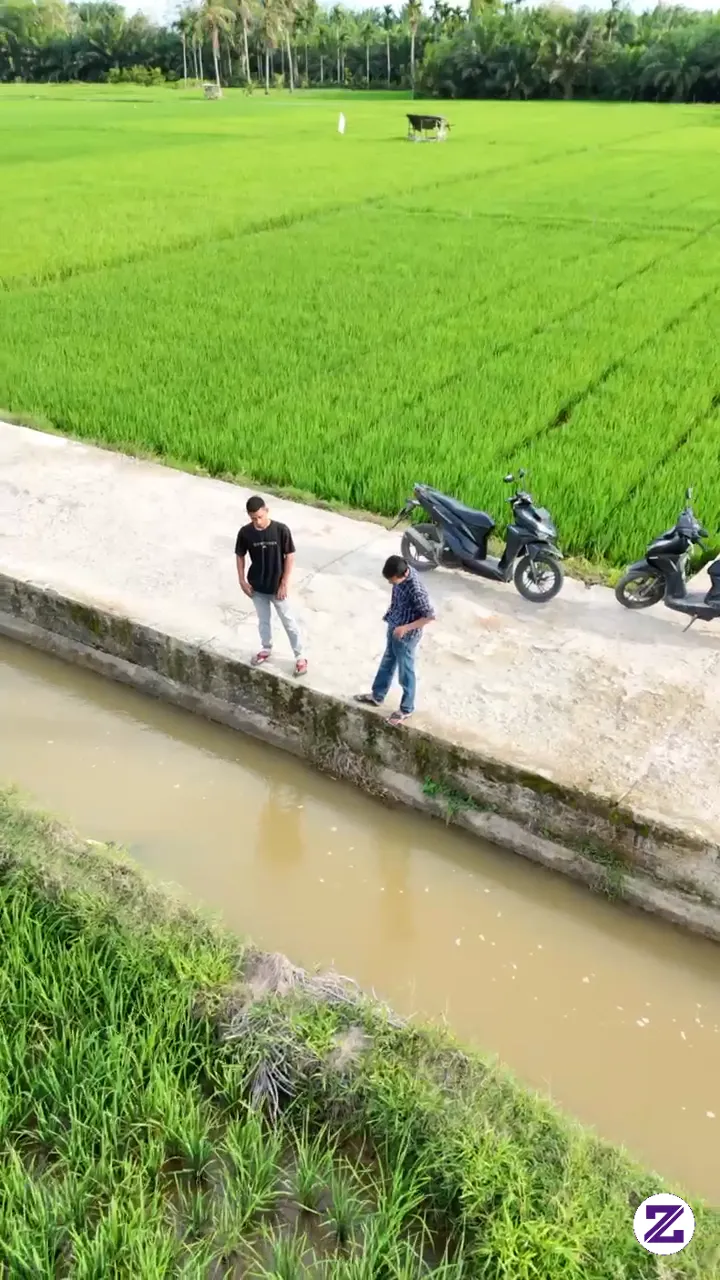 Kebijakan Yang Terabaikan
