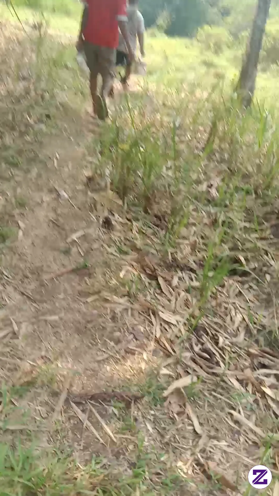 Berangkat Memancing Ke Sungai Bersama Kawan 🎣🙂