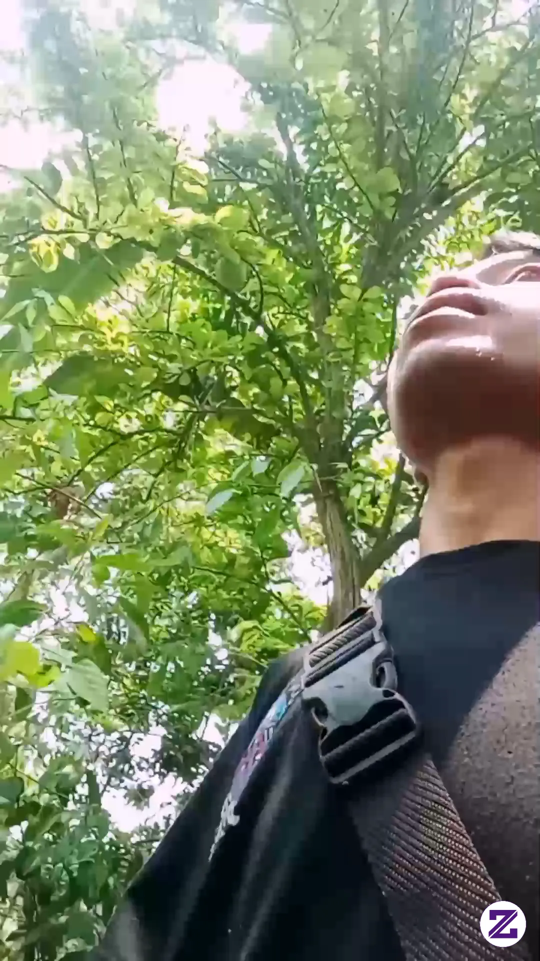 Di Tinggalkan Oleh Teman Mqncingku.