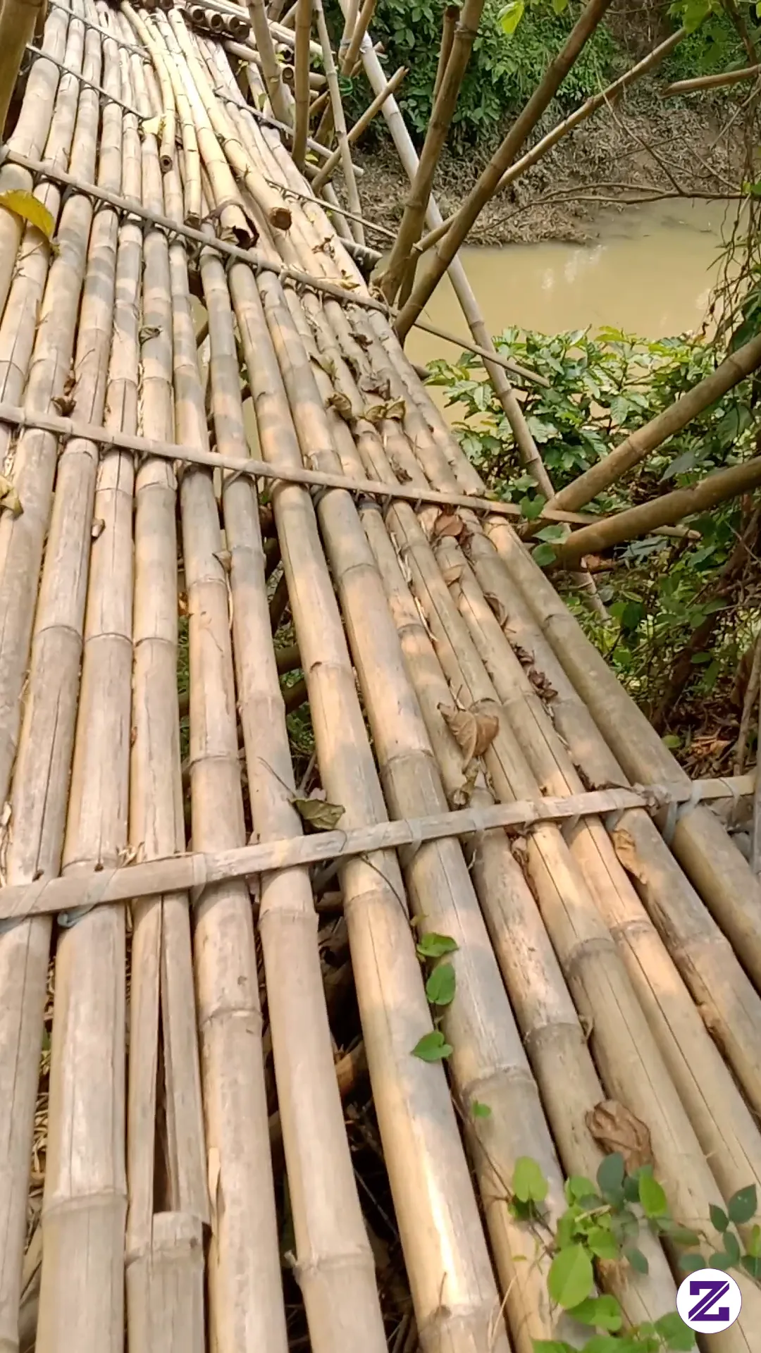 Di Sebuah Sudut Pedesaan, Terbentang Jembatan Bambu Yang Sudah Miring, Rapuh,